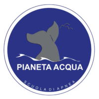 A.S.D. PIANETA ACQUA SCUOLA DI APNEA A BUSTO ARSIZIO dal 2005